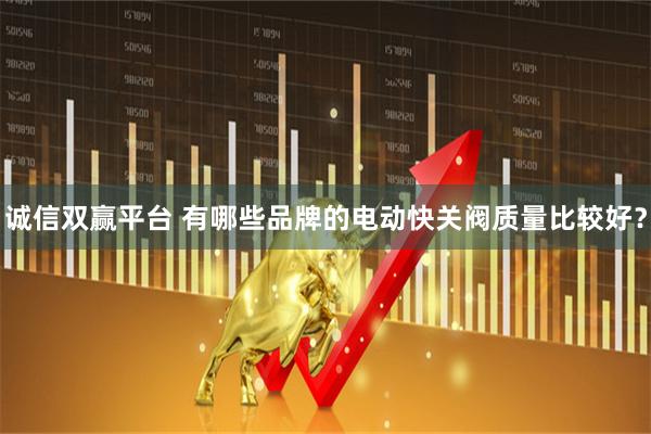 诚信双赢平台 有哪些品牌的电动快关阀质量比较好？