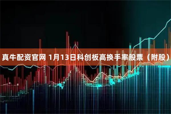 真牛配资官网 1月13日科创板高换手率股票（附股）