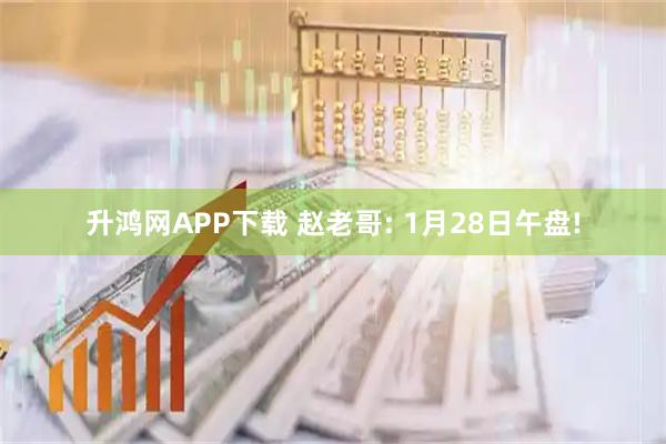 升鸿网APP下载 赵老哥: 1月28日午盘!
