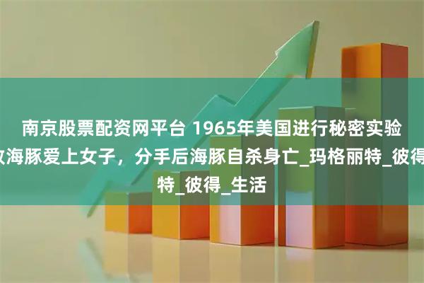 南京股票配资网平台 1965年美国进行秘密实验，导致海豚爱上女子，分手后海豚自杀身亡_玛格丽特_彼得_生活