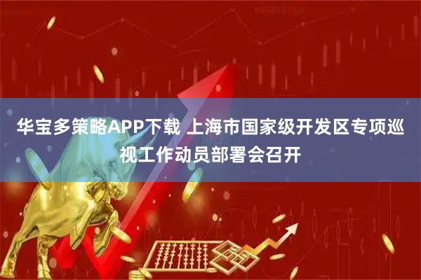 华宝多策略APP下载 上海市国家级开发区专项巡视工作动员部署会召开